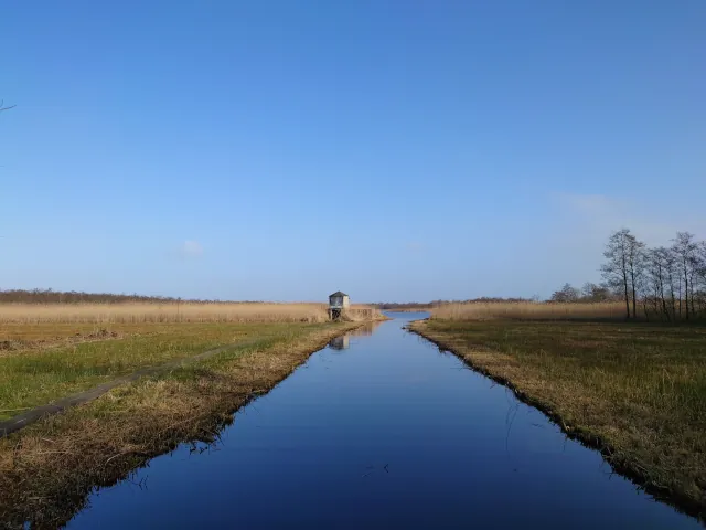 Naardermeer — 30 January 2022