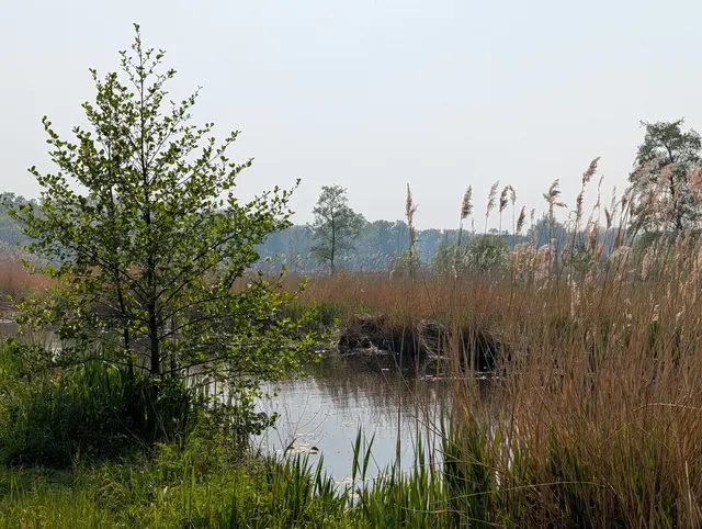 Karnemelksloot, Naarden — 29 April 2026